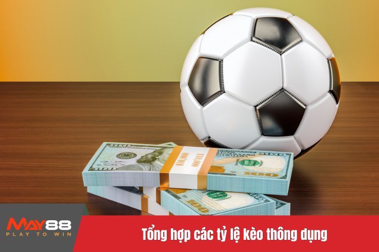 Tổng hợp các tỷ lệ kèo thông dụng