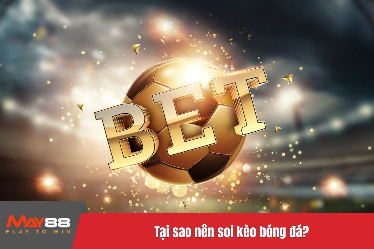 Tại sao nên soi kèo bóng đá?